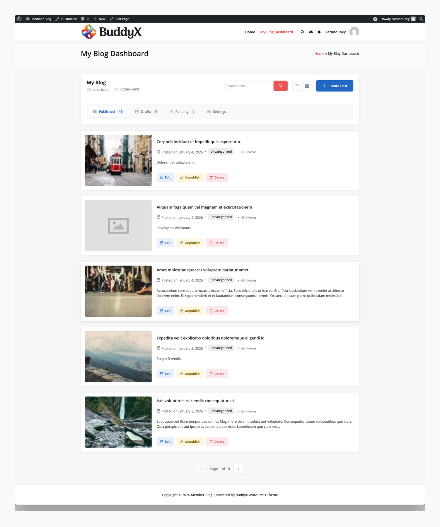 WB Member Blog member dashboard with professional frame styling